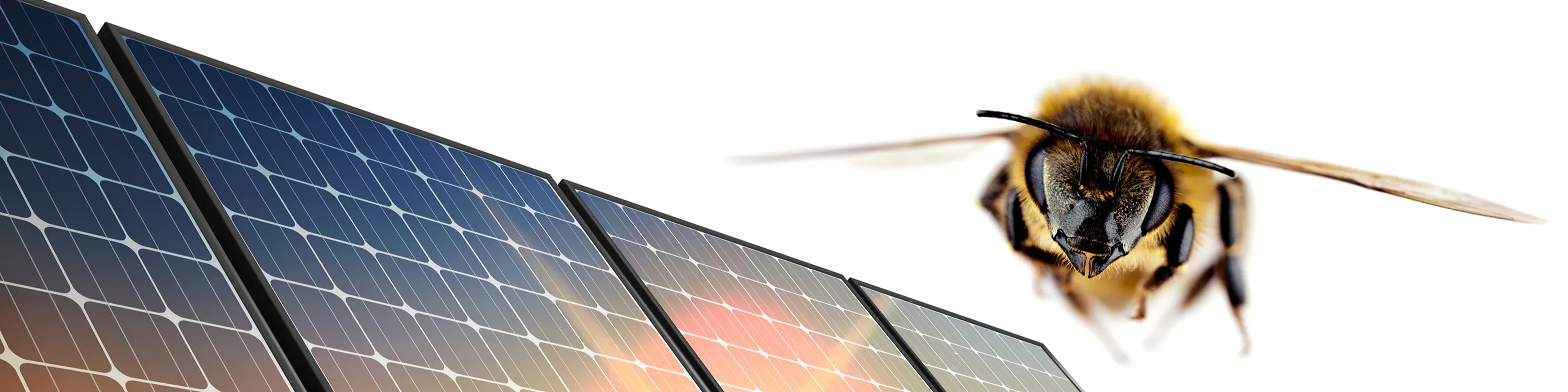 Renewable energy 5 - 25 %